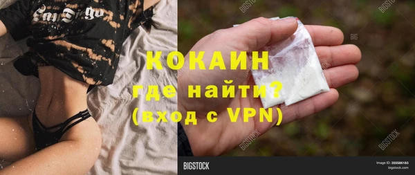 не бодяженный Алексин