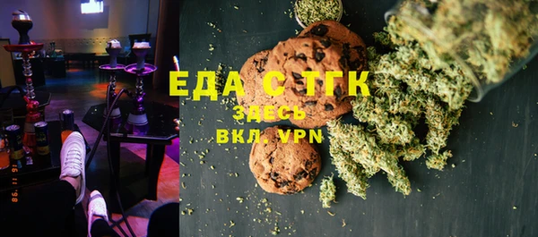 тгк Алзамай