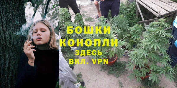 трава Алексеевка