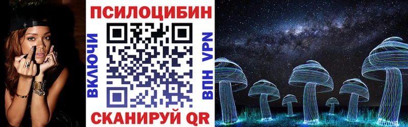 купить  цена  Славск  Псилоцибиновые грибы Psilocybe 